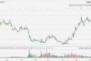 美股異動(dòng)丨極星汽車一度大跌超12%，前9個(gè)月總交付量同比減少22.8%