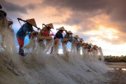 種地免費(fèi)游戲，開啟你的農(nóng)業(yè)夢想之旅，種地大富翁，啟動你的農(nóng)田冒險之旅，免費(fèi)享受農(nóng)業(yè)的樂趣