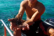 夢(mèng)到捉魚的奇幻之旅，夢(mèng)中的捉魚奇幻之旅