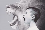 夢(mèng)中的哭泣之貓，一場(chǎng)神秘的夢(mèng)境之旅