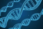 英雄與將軍的注冊(cè)步驟詳解，深入解析，如何成功注冊(cè)成為一名英雄和將軍