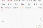 連續(xù)漲停又跌停！一批公司提示風(fēng)險(xiǎn)