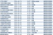 次新主動權(quán)益基金建倉積極 2025年A股機會較好