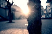 夢中的破碎之光——燈泡碎了的寓意與解讀，夢中的破碎之光，燈泡碎了的深層寓意與解讀
