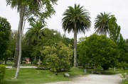 官方網(wǎng)站花架搭建指南，打造視覺盛宴的綠色空間，打造綠色視覺盛宴，官方網(wǎng)站花架搭建全攻略，官方網(wǎng)站綠色花架搭建全攻略，打造視覺盛宴的綠意空間