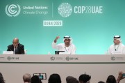 COP29氣候大會臨近，歐美金融高管參會熱情降溫
