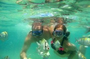 夢到逮魚的奇妙之旅，夢中的逮魚奇妙之旅