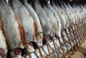女人夢(mèng)到魚的神秘寓意，女人夢(mèng)到魚的神秘寓意