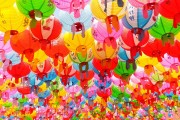夢境中的老鼠狂歡，夢境中的老鼠狂歡之旅