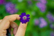 芭比打扮游戲免費(fèi)下載，讓小女孩過(guò)上精致的生活，芭比打扮游戲