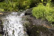 流量與網(wǎng)站訪問，一個動態(tài)平衡的藝術，數(shù)字營銷中的動態(tài)平衡藝術，如何實現(xiàn)流量和訪問的動態(tài)調(diào)整