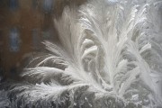 夢(mèng)中的火光——家起之驚，夢(mèng)中的火光，家起之驚