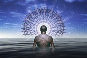 揭秘網(wǎng)站自然流量的秘密源泉，五大策略助你提升SEO效果