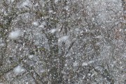 雪舞夢境——我的夢中雪景，雪舞夢境，我的夢中雪景的詩意之旅