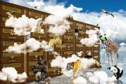 夢(mèng)到狗，解讀這一神秘征兆的深層含義，解讀夢(mèng)境中的狗，神秘征兆的深層含義