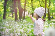 夢(mèng)境中的鴨子之旅，夢(mèng)境中的鴨子奇幻之旅