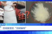 “羽絨騙局”曝光：兒童羽絨服也造假，檢測報告成本一兩元錢