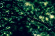 夢(mèng)到洗臉，解讀夢(mèng)境的深層含義，夢(mèng)境解讀，洗臉的深層含義