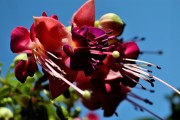 紅塵免費(fèi)游戲，讓夢(mèng)想在指尖綻放，實(shí)現(xiàn)夢(mèng)想，只需指尖輕輕一抹，紅塵的游戲?qū)呦蜉x煌