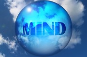 理解并追求網(wǎng)站流量，一個關鍵因素的探索，最大化網(wǎng)站流量，深入探討這一關鍵要素