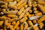 如何應(yīng)對(duì)期貨回撤問題？有哪些有效策略？
