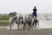 馬場俱樂部注冊指南，輕松開啟您的馬術(shù)之旅，輕松入局馬術(shù)世界，馬場俱樂部注冊全攻略