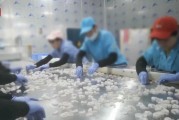 查封！關(guān)停！各地多部門連夜查處3·15曝光問題