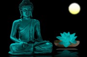 夢魘之影，夢到姐姐去世的內(nèi)心掙扎，夢魘之影，姐姐離世的心靈掙扎