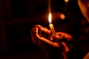 燃燒的生命——螢火蟲（寓言故事），螢火蟲的奧秘