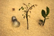 輕盈的夏日午后——輕松享受薄荷游戲免費，輕松享受，夏季薄荷游戲——只用一包薄荷