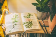免費(fèi)游戲的春天，11個(gè)值得推薦的游戲，最新11款免費(fèi)游戲推薦，春天來臨的免費(fèi)游戲狂歡盛宴