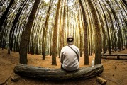 夢(mèng)到親人離開(kāi)，心靈的觸動(dòng)與思考