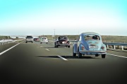 賽車之夢，速度與激情的交織，賽車之夢，速度與激情的交織
