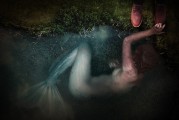 野貓之夢，神秘、自由的象征，野貓之夢，神秘自由的象征