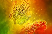 體驗(yàn)無(wú)限可能的戶外游戲，免費(fèi)游戲的無(wú)限可能，挑戰(zhàn)極限，自由游戲——您的戶外冒險(xiǎn)樂(lè)趣新起點(diǎn)