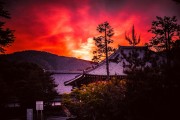 廟宇之夢，心靈的尋覓與覺醒