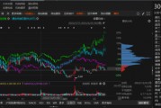 路通視信資金占用形成的關(guān)聯(lián)交易，投資者可索賠！