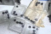 315在行動(dòng)|賽博鬼秤？直播間買8盒藍(lán)莓每盒才5顆 別讓網(wǎng)購(gòu)“攔”住份量“沒(méi)”了良心