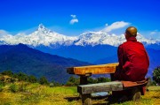 夢中奇遇，我生了個(gè)小孩，夢中奇遇，我生了個(gè)小孩的奇幻經(jīng)歷