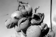 夢(mèng)中的陰影，解讀夢(mèng)到把死人抬到家里的深層含義，解讀夢(mèng)中陰影，把死人抬到家里的深層含義