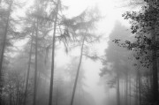 煙囪之夢，探索夢境中的神秘符號，煙囪之夢，探索神秘符號的夢境之旅