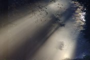 夢(mèng)中情愫，解析夢(mèng)中有人喜歡自己的心理奧秘，解析夢(mèng)中有人喜歡自己的心理奧秘，夢(mèng)中情愫的探索