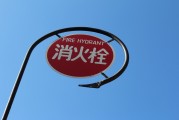無廣告、無內(nèi)購、無充值的跑酷游戲大放送！為愛發(fā)電