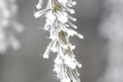 夢(mèng)到魚吃蛇，一場(chǎng)深邃的夢(mèng)境解析