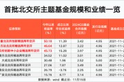 北交所主題基金 最高大賺50%！