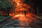 夢(mèng)中奔跑的啟示，夢(mèng)中奔跑的啟示
