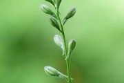 搭建菠菜網(wǎng)站的重要性與步驟，重要性，為何搭建菠菜網(wǎng)站？步驟指南