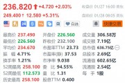 皇家加勒比郵輪盤前漲5.3% 年度利潤指引超預期