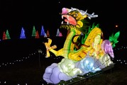 保衛(wèi)蘿卜游戲中，免費并不是一種誘惑，保衛(wèi)蘿卜，游戲中的付費意識與策略分析