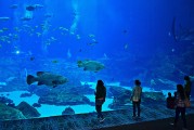 日照市是中國山東省的一個海濱城市，擁有豐富的旅游資源和文化底蘊。隨著互聯網技術的發(fā)展，日照的旅游業(yè)也在不斷壯大。日照網站優(yōu)化的重要性不言而喻。，日照，中國山東省海濱城市的旅游資源與文化魅力
